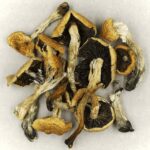 Lucid Supply Co. – LSD Gummy (1 gummy per pkg) – LSD Edibles