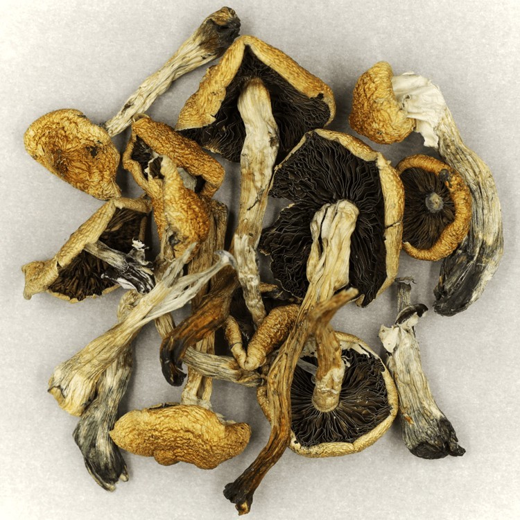 Free 3.5g Dried Shroom